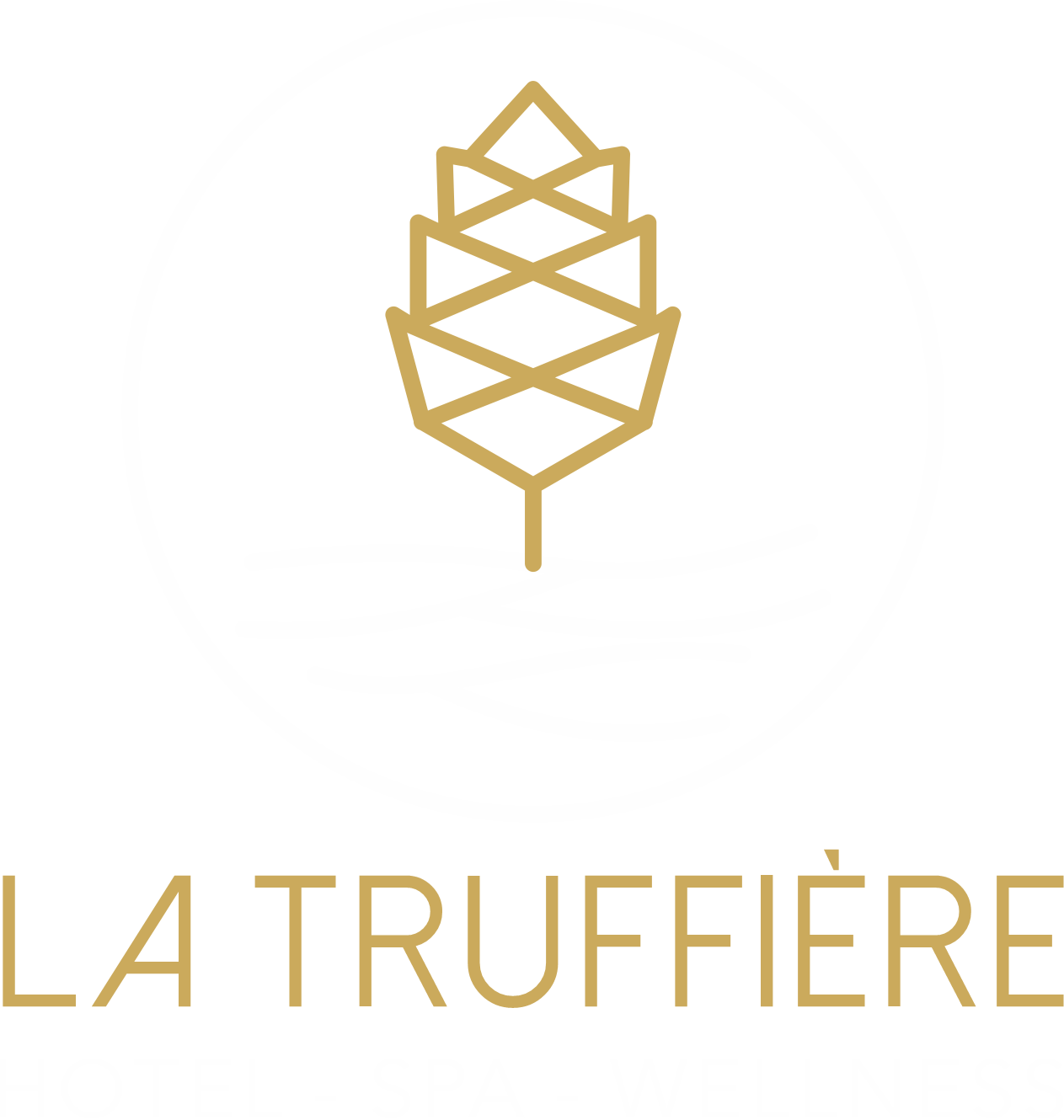 logo diap